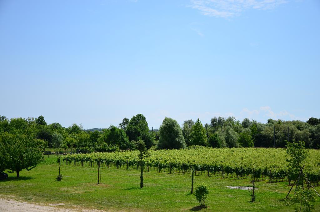 Là Di Anselmi Séjour à la ferme *